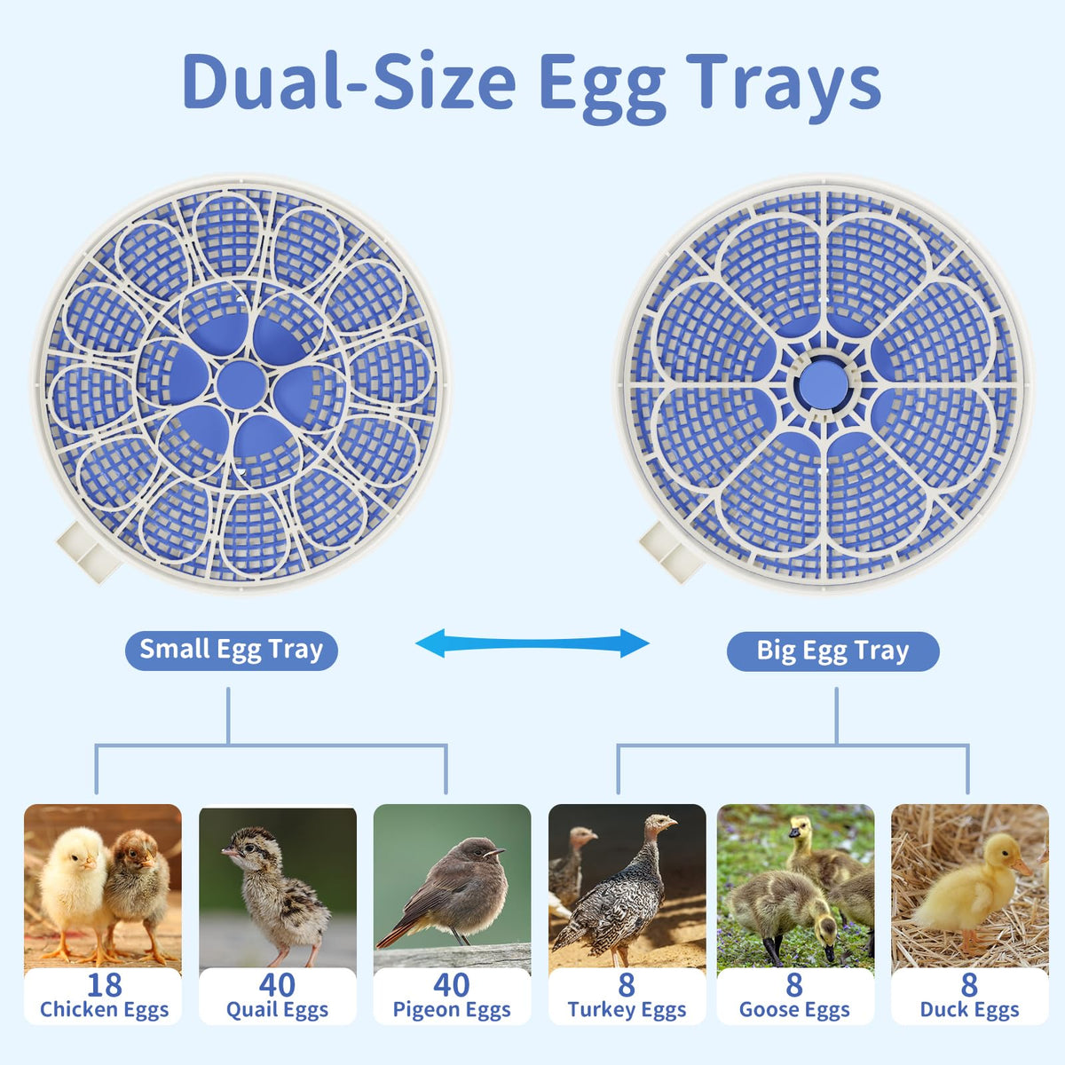 CluckRun dual water bottles and humidity trays reduce refills