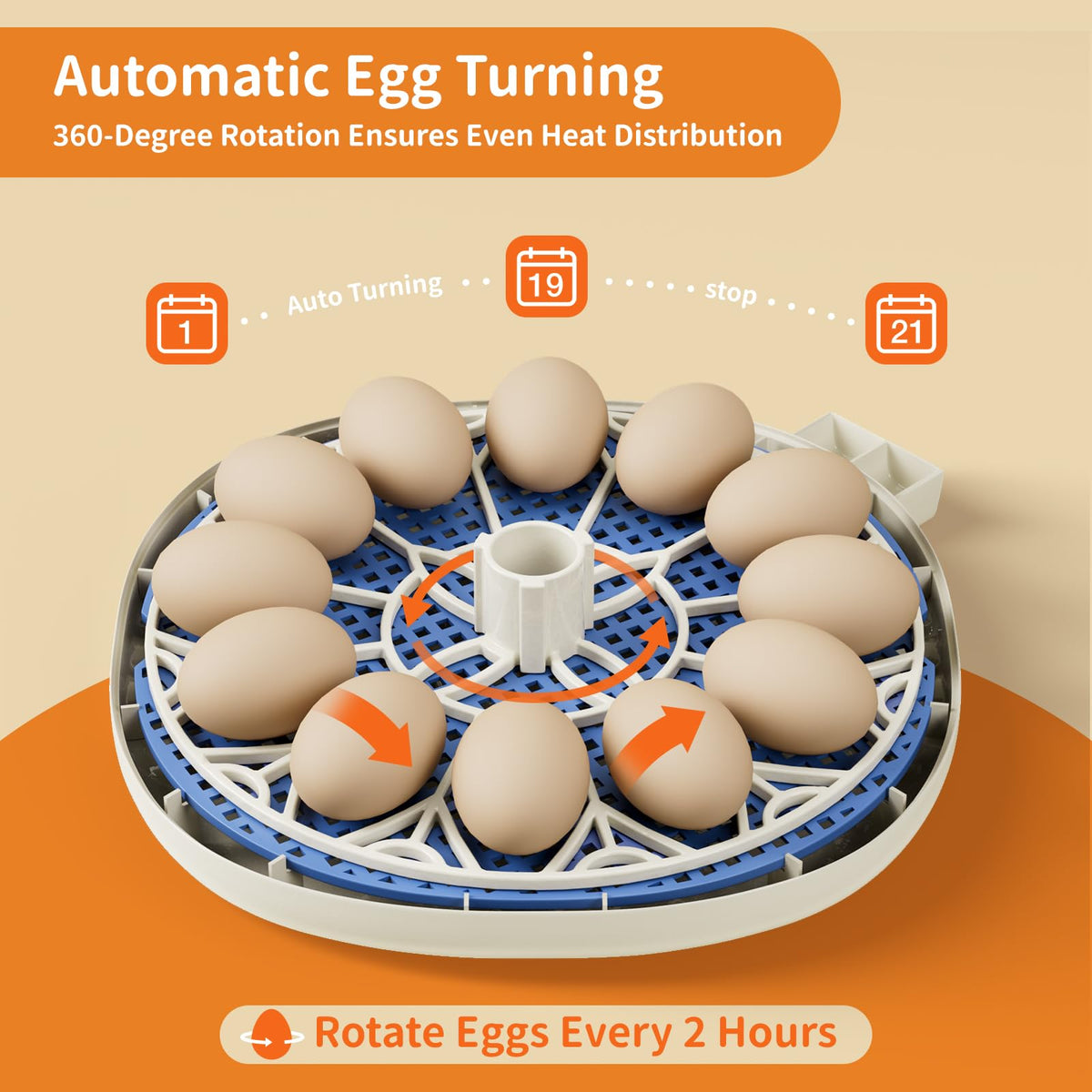 CluckRun dual water bottles provide ready access to water during incubation.