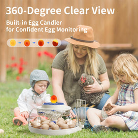 CluckRun incubation display shows days, temperature, humidity, and turning