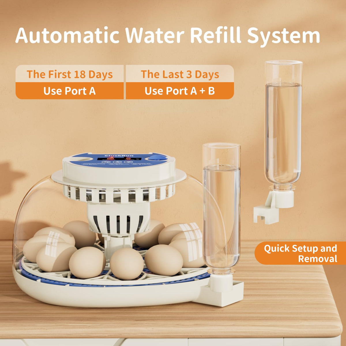 CluckRun removable trays allow easy cleaning and maintenance.