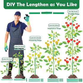 Cludoo adjustable-length stakes let you tailor support as plants grow.