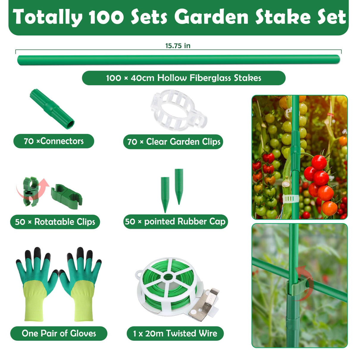 Cludoo fiberglass plant stakes deliver rust-free, long-lasting garden support.