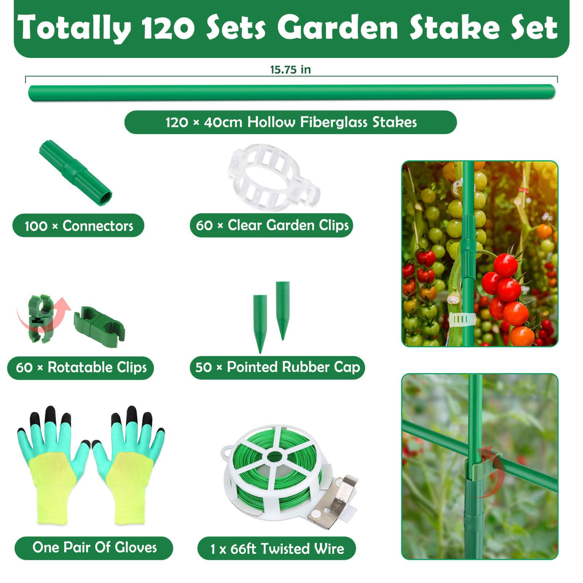 Cludoo 60 clear garden clips securing stakes and plants.