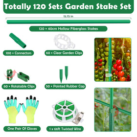Cludoo 60 clear garden clips securing stakes and plants.