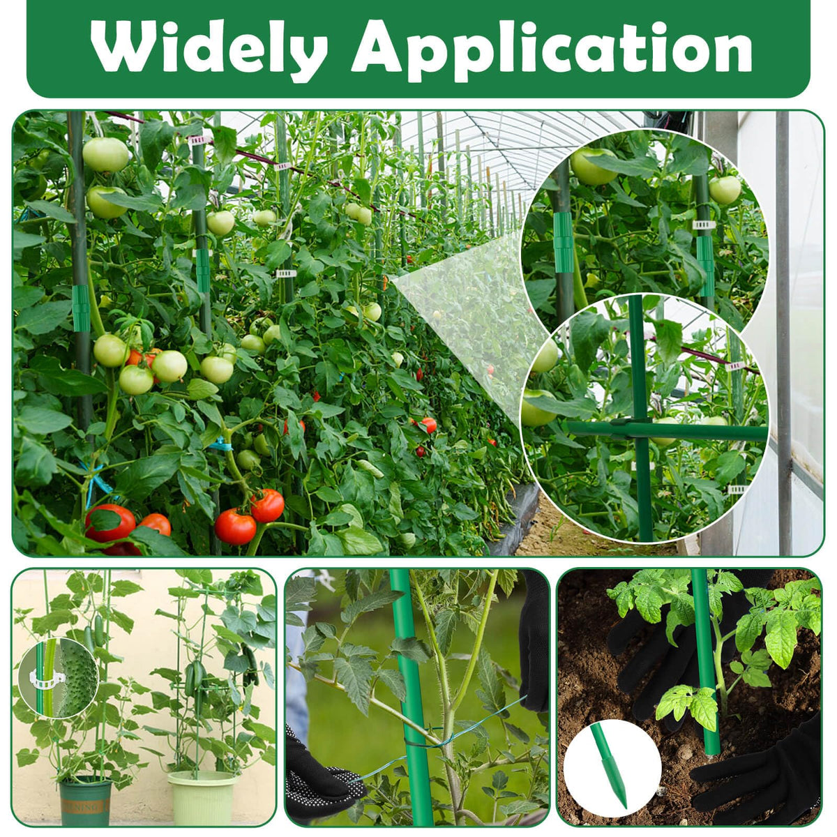 Cludoo rubber caps protect stake tips during insertion.
