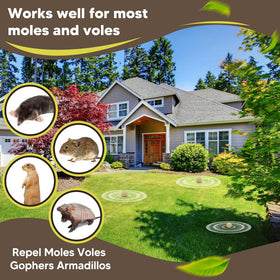 CLVDOFSS Mole Repellent in a garden scene deters burrowing for healthier soil.