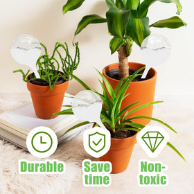 Cmaqpw easy-to-use self-watering bulbs to keep indoor plants hydrated effortlessly.