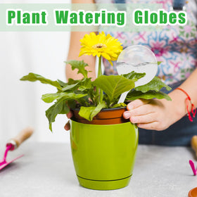 Cmaqpw plant watering globes designed with a long spout for precise irrigation.