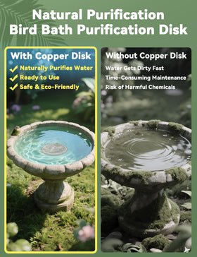CNARIO birdbath copper disk bottom placement enables continuous purification without chemicals.