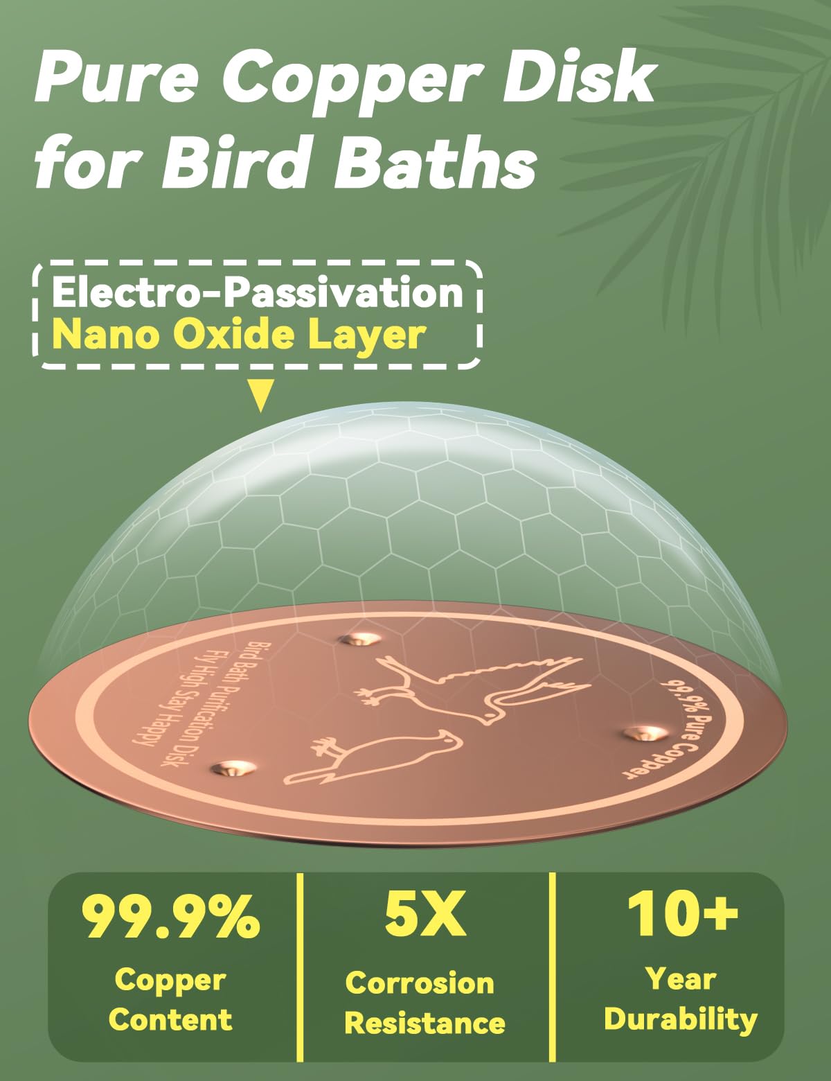 CNARIO copper disk with three-point design stabilizes the bath setup.