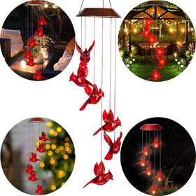 cnstorm Cardinal chimes create soothing outdoor atmosphere with musical tones