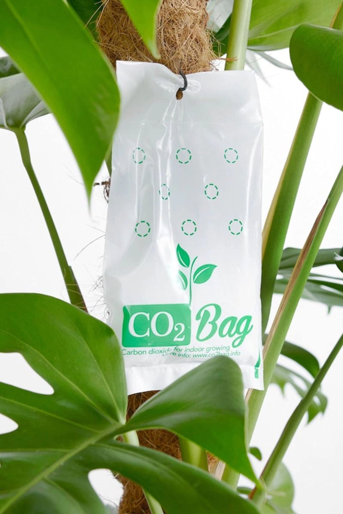 CO2BAG M compact coverage up to 2m² for small spaces