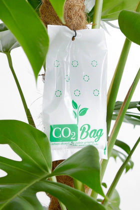 CO2BAG M compact coverage up to 2m² for small spaces