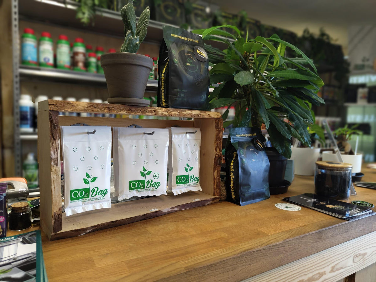 CO2BAG M maintenance-free solution for hobby greenhouses and tents