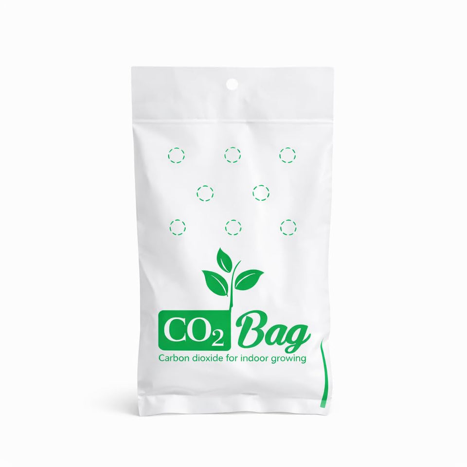 CO2BAG M natural CO2 generator for indoor plants boosts growth
