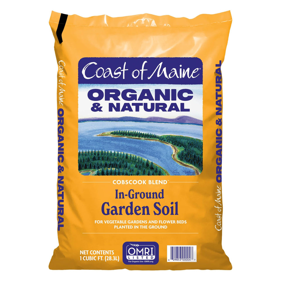 Coast of Maine Cobscook Blend soil close-up showing rich texture for healthy roots.