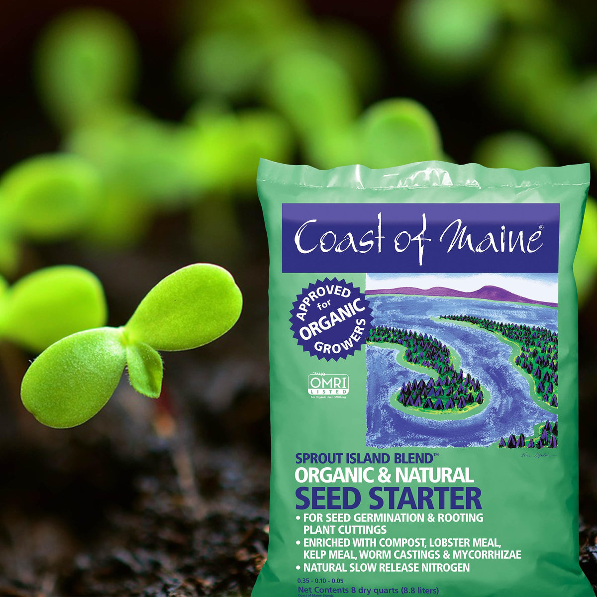 Coast of Maine composted manure and kelp boost soil moisture and resilience