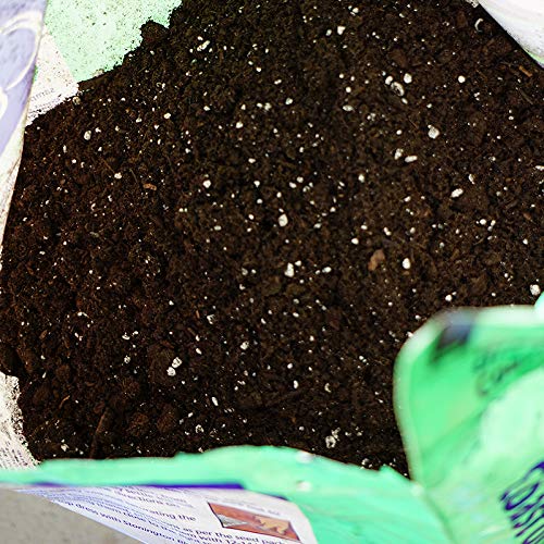 Coast of Maine seed starter mix with mycorrhizae and worm castings for root growth