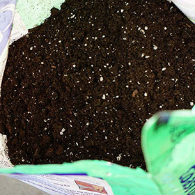 Coast of Maine seed starter mix with mycorrhizae and worm castings for root growth