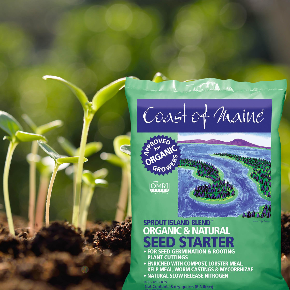 Coast of Maine seed starter mix shown in a tray for seedling setup