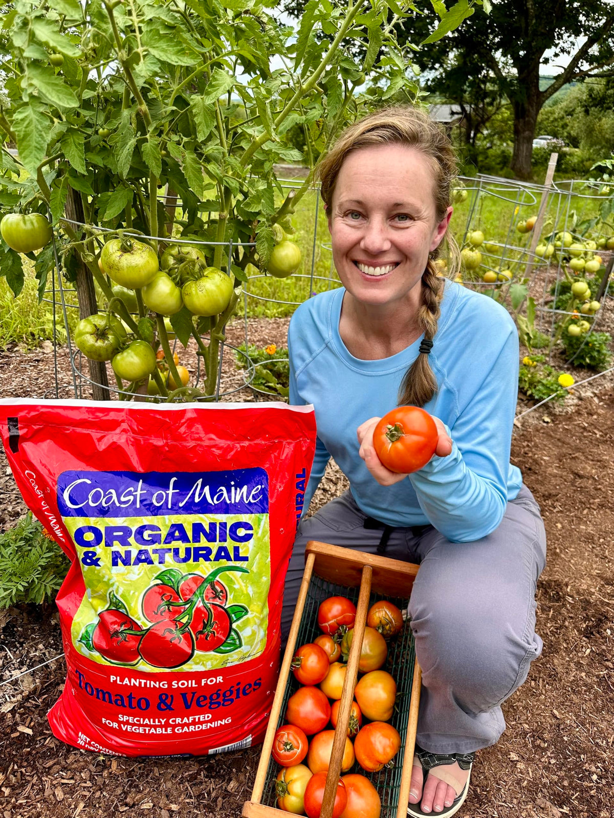 Coast of Maine soil in a planter shows balanced drainage for vegetables.