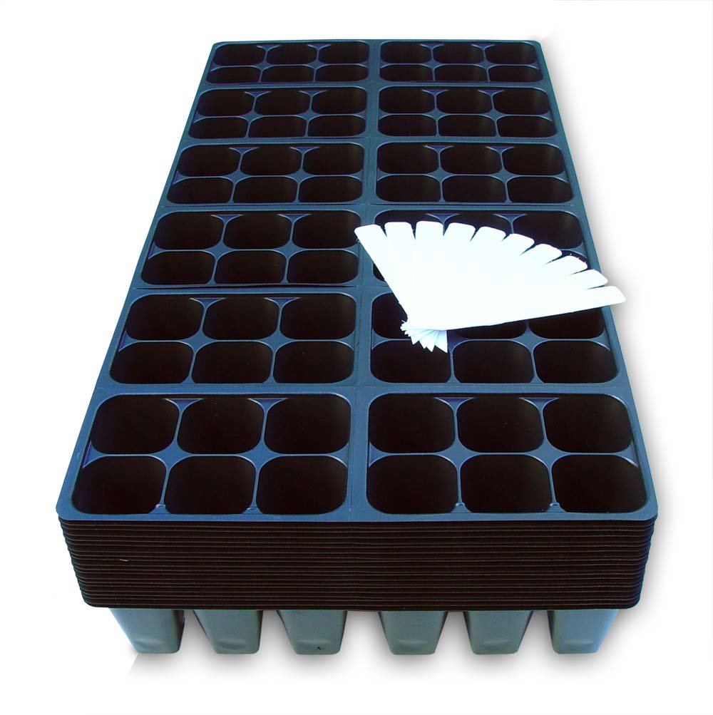 Coconut Oasis 1440-cell seedling tray top view for organized germination planning.