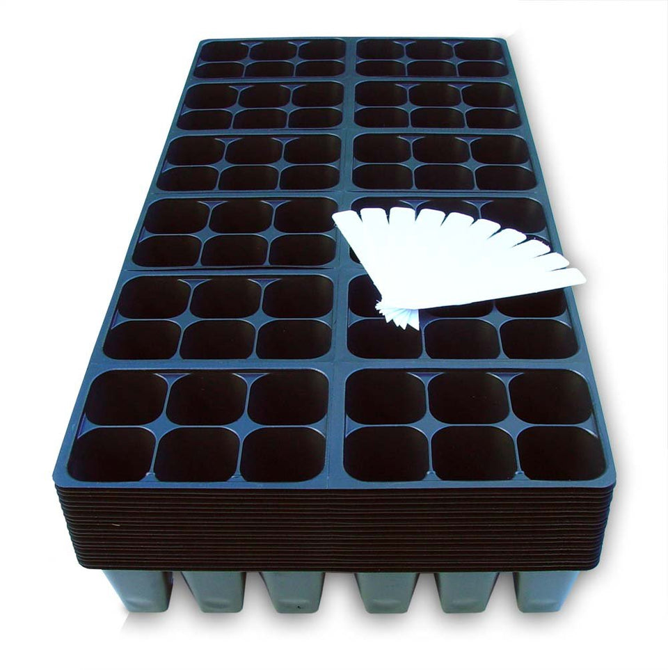 Coconut Oasis 1440-cell seedling tray top view for organized germination planning.