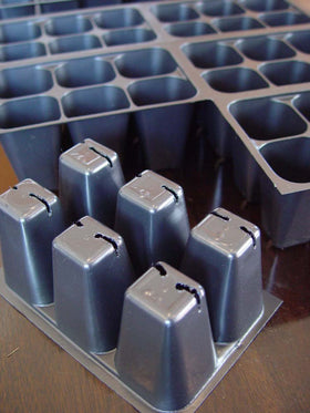 Coconut Oasis 1440-cell seedling tray with labels for easy tracking and transplanting.