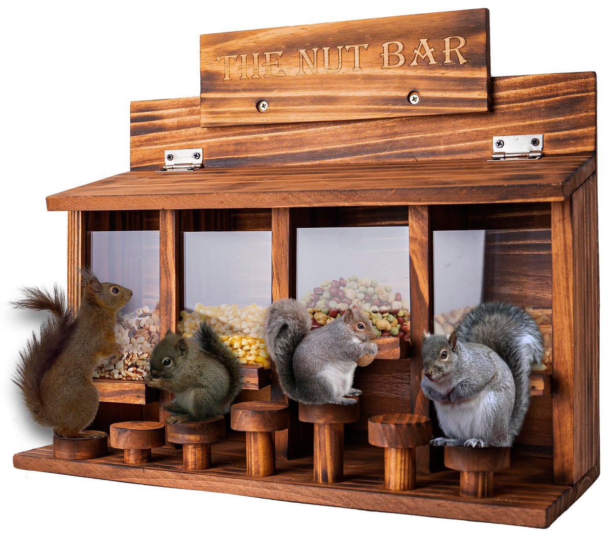 CODIN Squirrel Feeder Table front view, durable burnt wood design attracting squirrels to your yard.