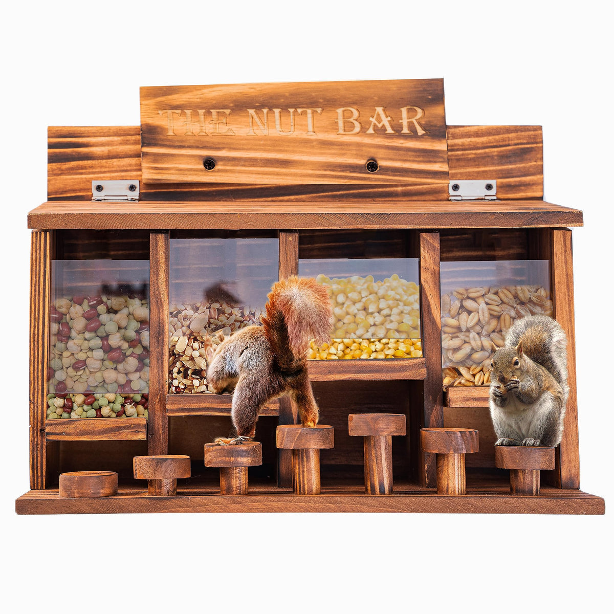 CODIN Squirrel Feeder Table sliding acrylic shield for easy seed access.