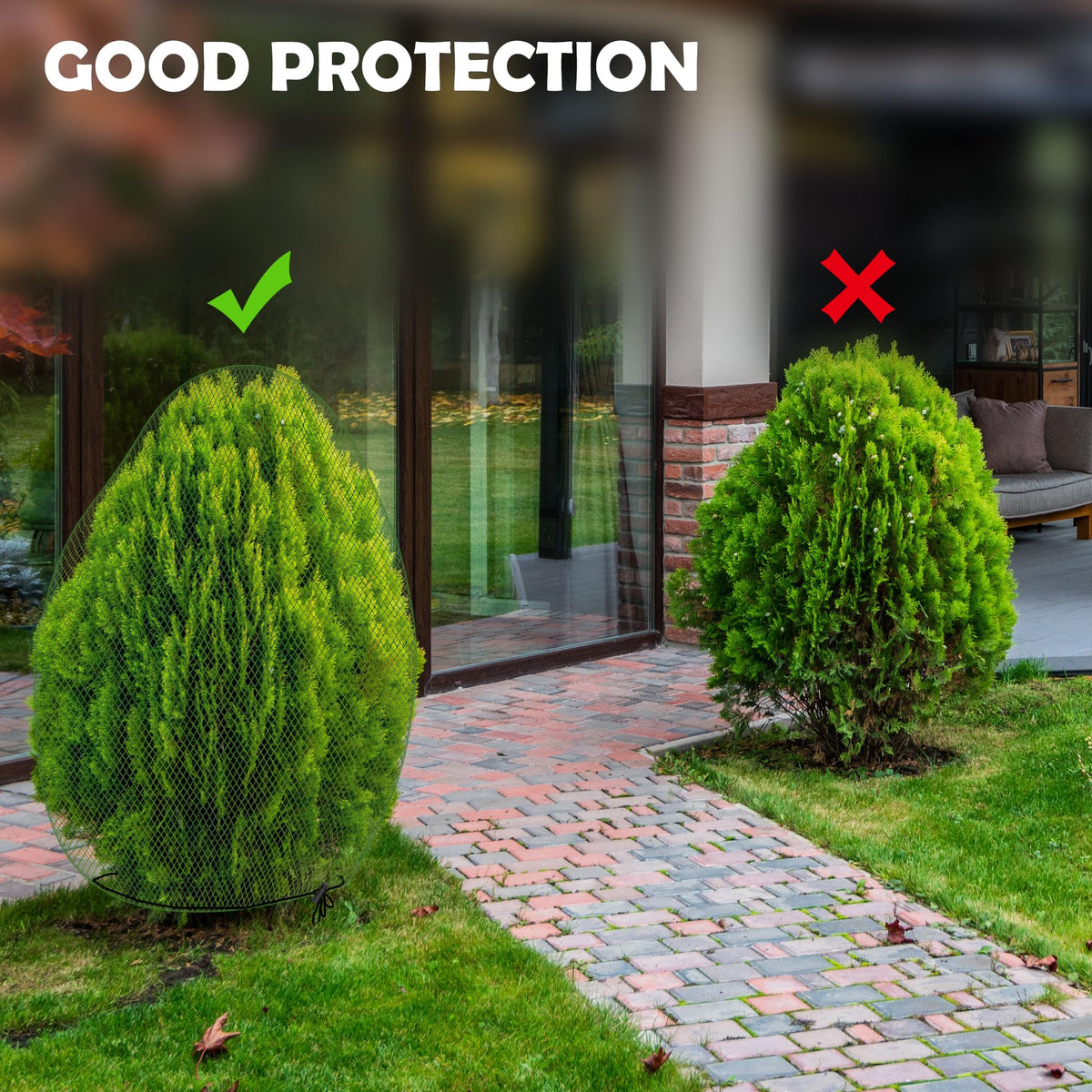 Codree netting allows sunlight to reach undershrub growth
