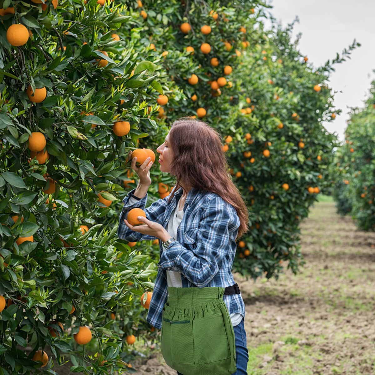 Codree harvest apron enables hands free harvesting with easy tool access.