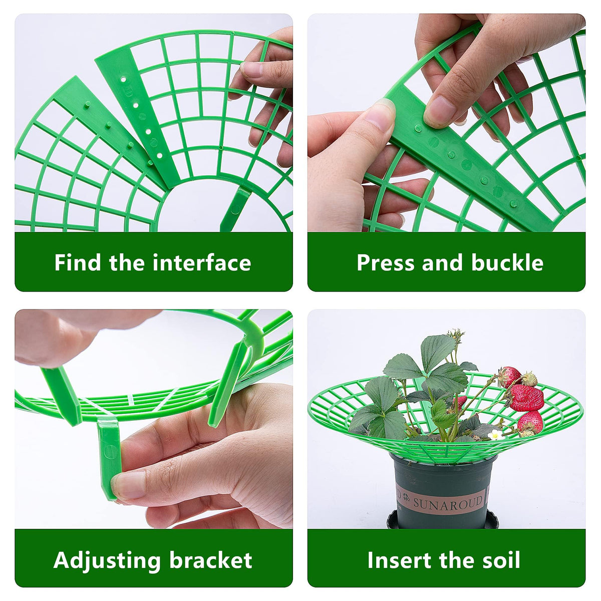 Codree mold protection for strawberry plants helps reduce moisture exposure