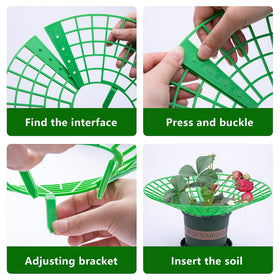 Codree mold protection for strawberry plants helps reduce moisture exposure