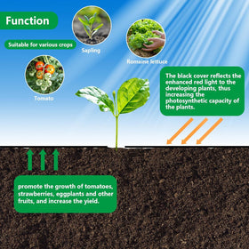 Outdoor setup shows barrier maintaining soil moisture and healthier look