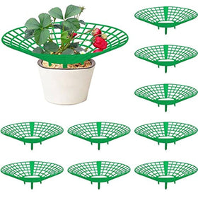 Codree strawberry plant support 10-pack in green keeps berries elevated and clean