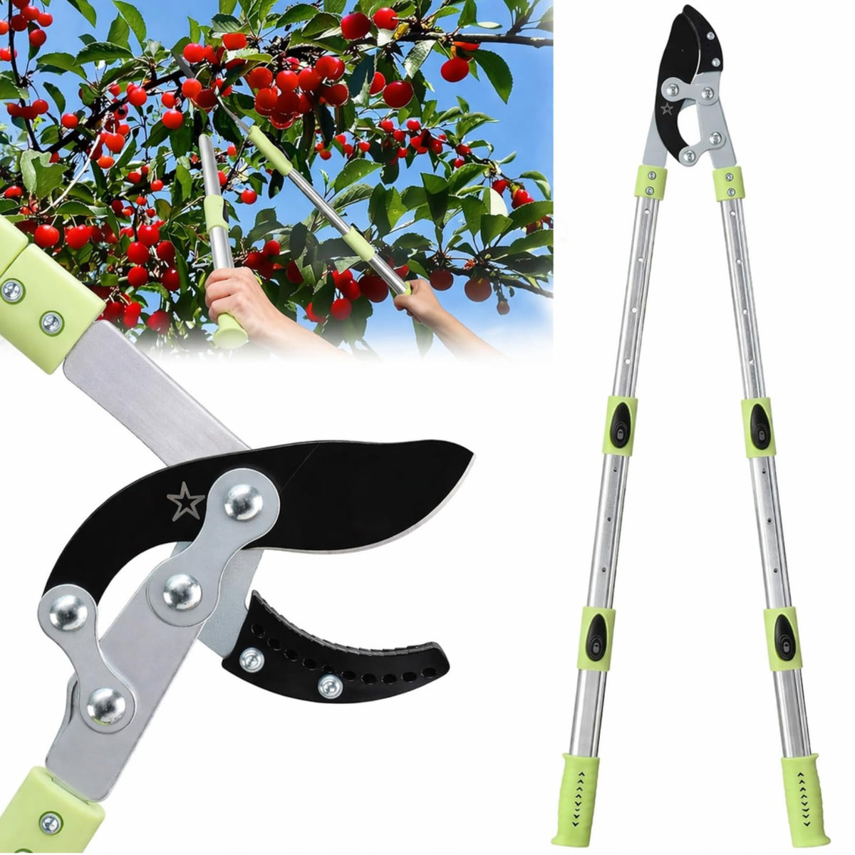 Cogardenshower heavy-duty loppers extendable-handle in use for high-branch pruning