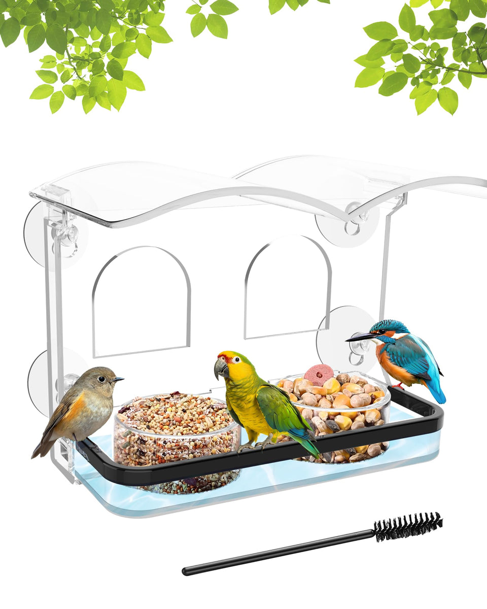 COJOSQC window bird feeder with suction cups enables secure installation for close-up viewing