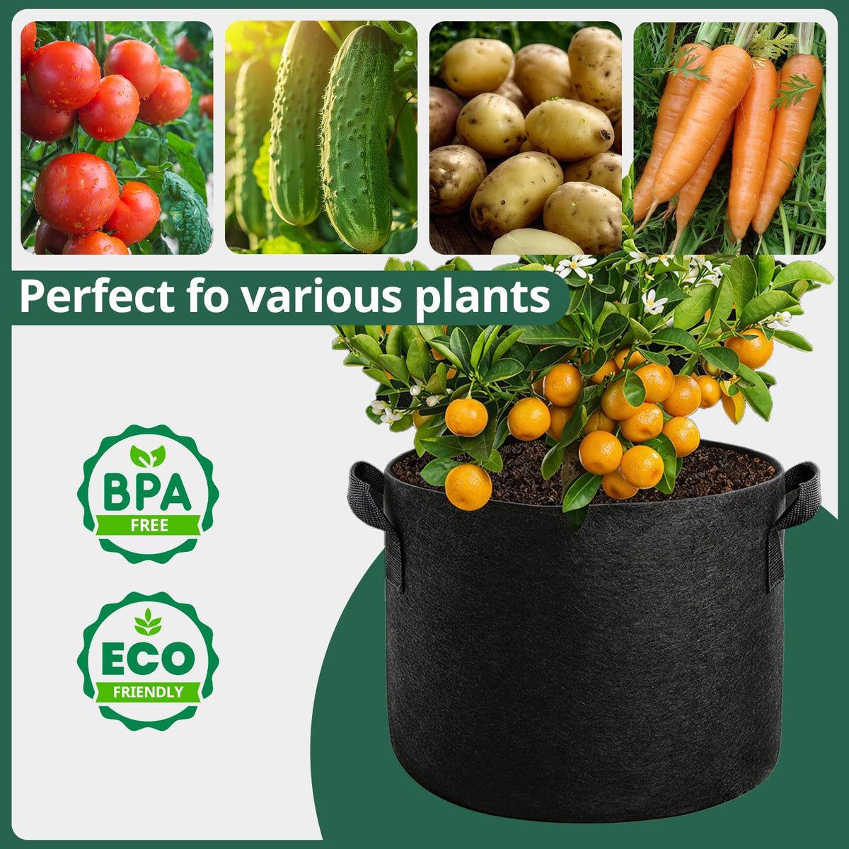 COOKIELE 5-pack stores compactly when not in use for easy seasonal storage.