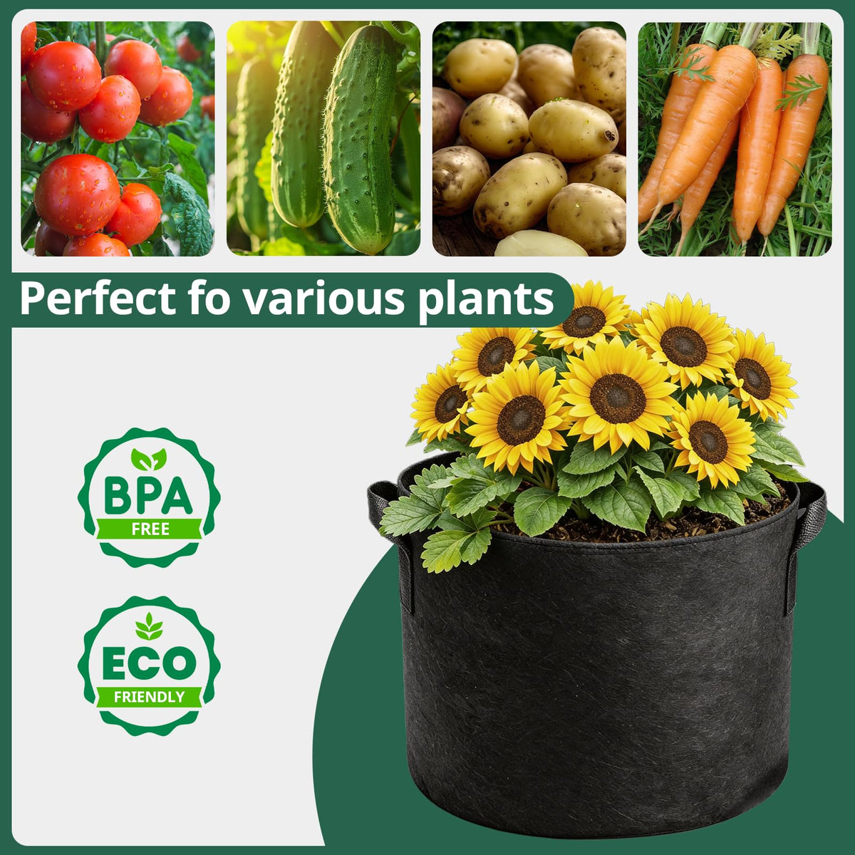 COOKIELE 15.74-inch diameter and 11.81-inch height, ideal for tomatoes.