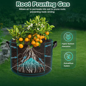 COOKIELE versatile grow bags support vegetables, fruits, herbs, and flowers.