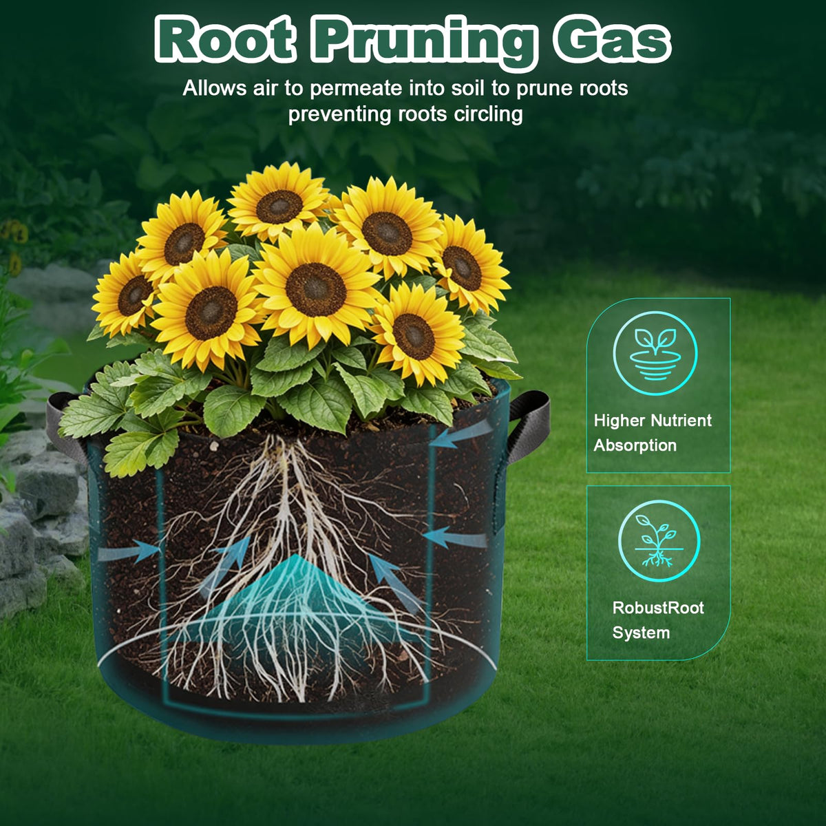 COOKIELE root-friendly design helps reduce circling for denser root systems.