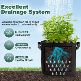 COOKIELE root-growth optimized bags promote dense root systems for better nutrient uptake.