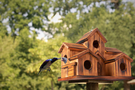 COLEBA bird house carbonized pine, brown, weather resistant housing.