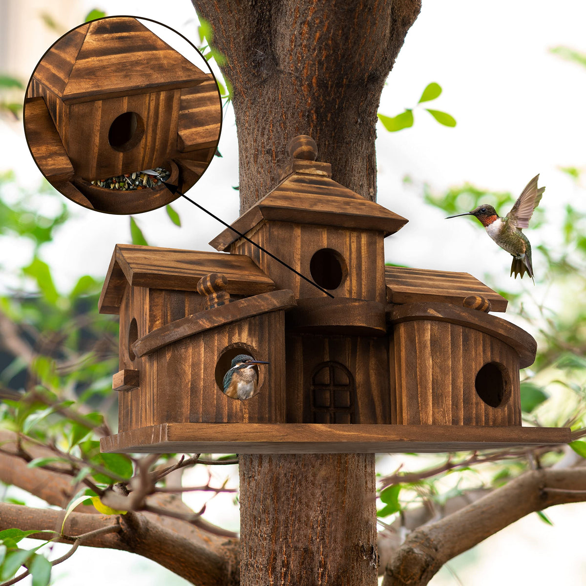 COLEBA carbonized pine wood bird house built for outdoor durability.