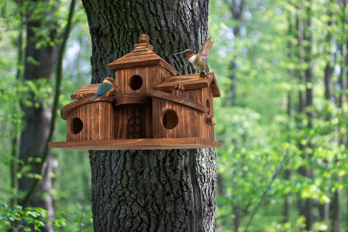 COLEBA multi-chamber design invites lively backyard bird activity.