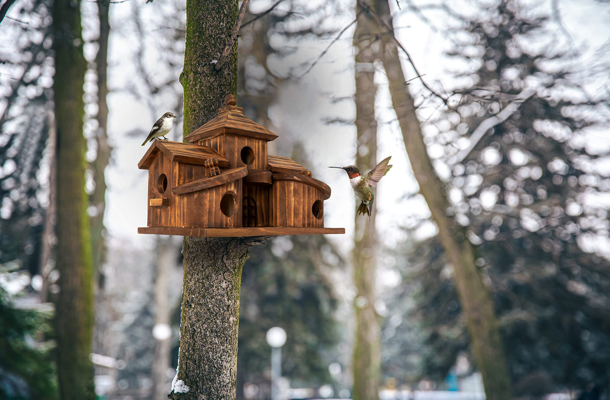 COLEBA bird house supports bluebirds, cardinals, finches and more.