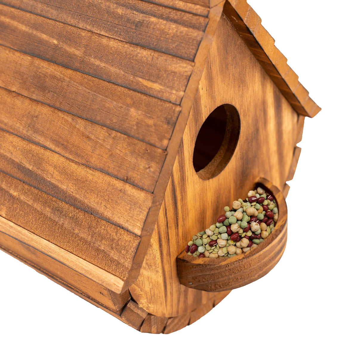 COLEBA bluebird visiting bird house adds lively garden scene.