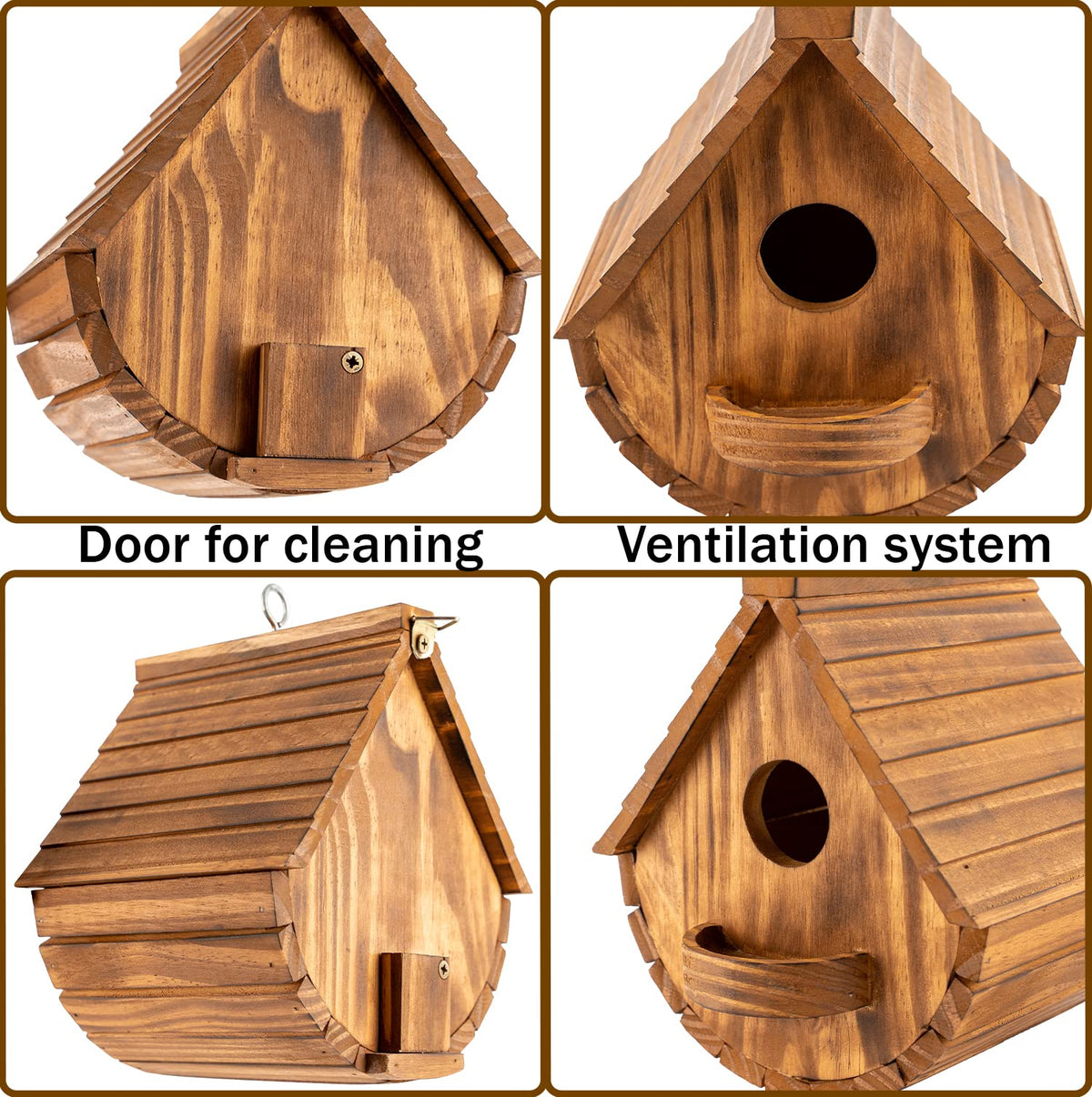 COLEBA finch on bird house emphasizes small-bird attraction.
