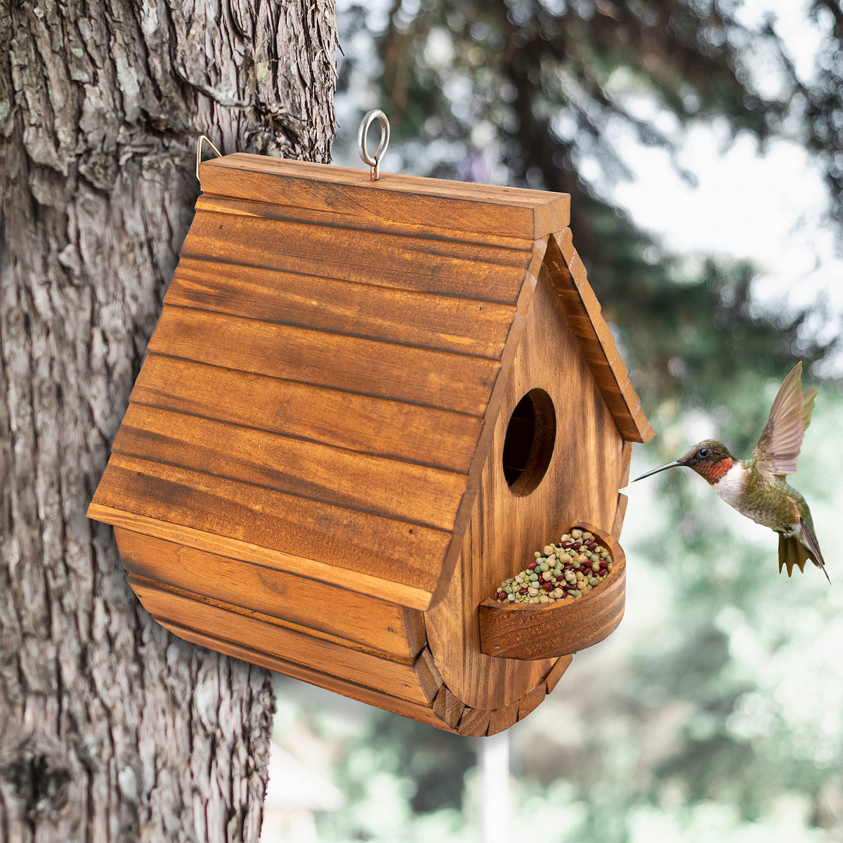 COLEBA gift-ready bird houses make a thoughtful garden gift.